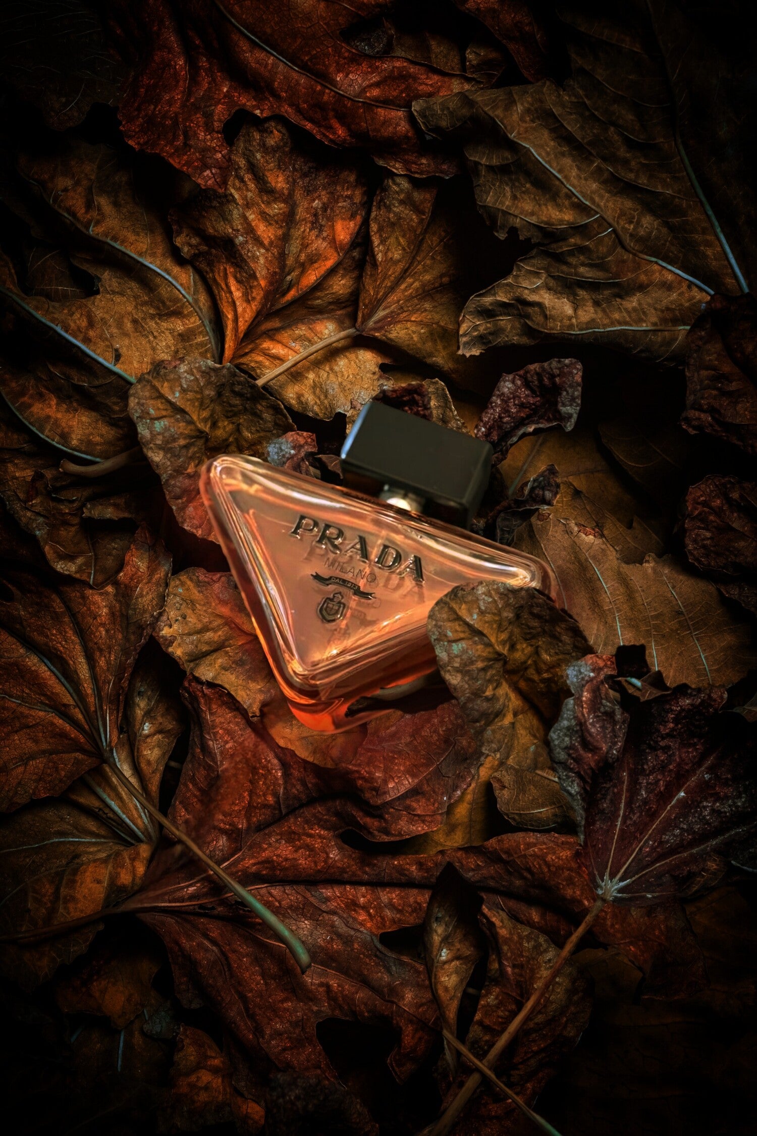 Prada Paradoxe Prada