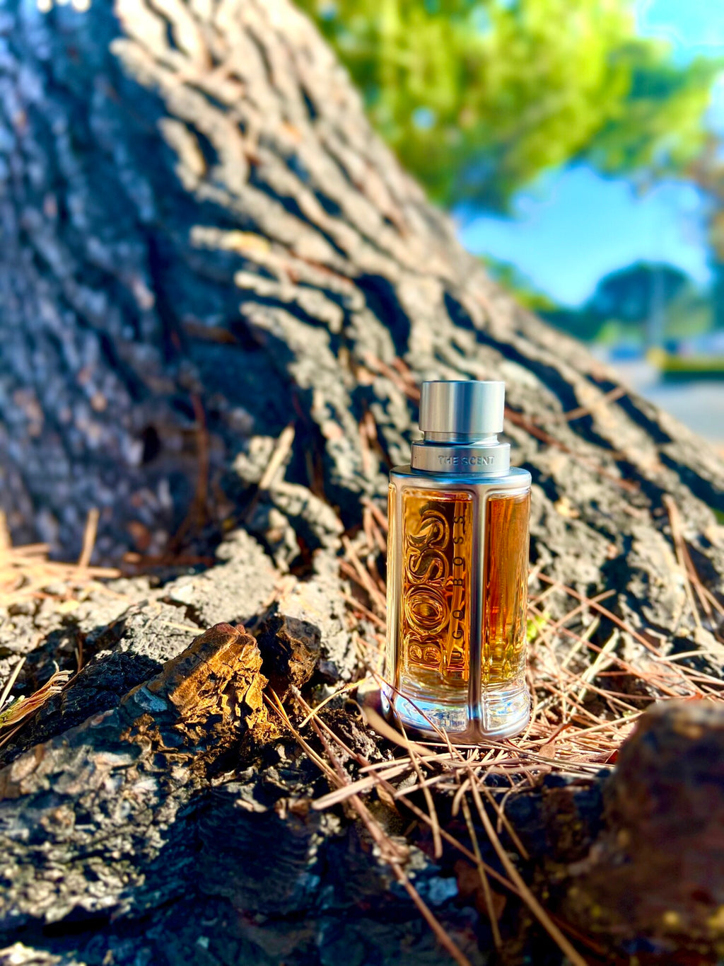 Boss The Scent Hugo Boss