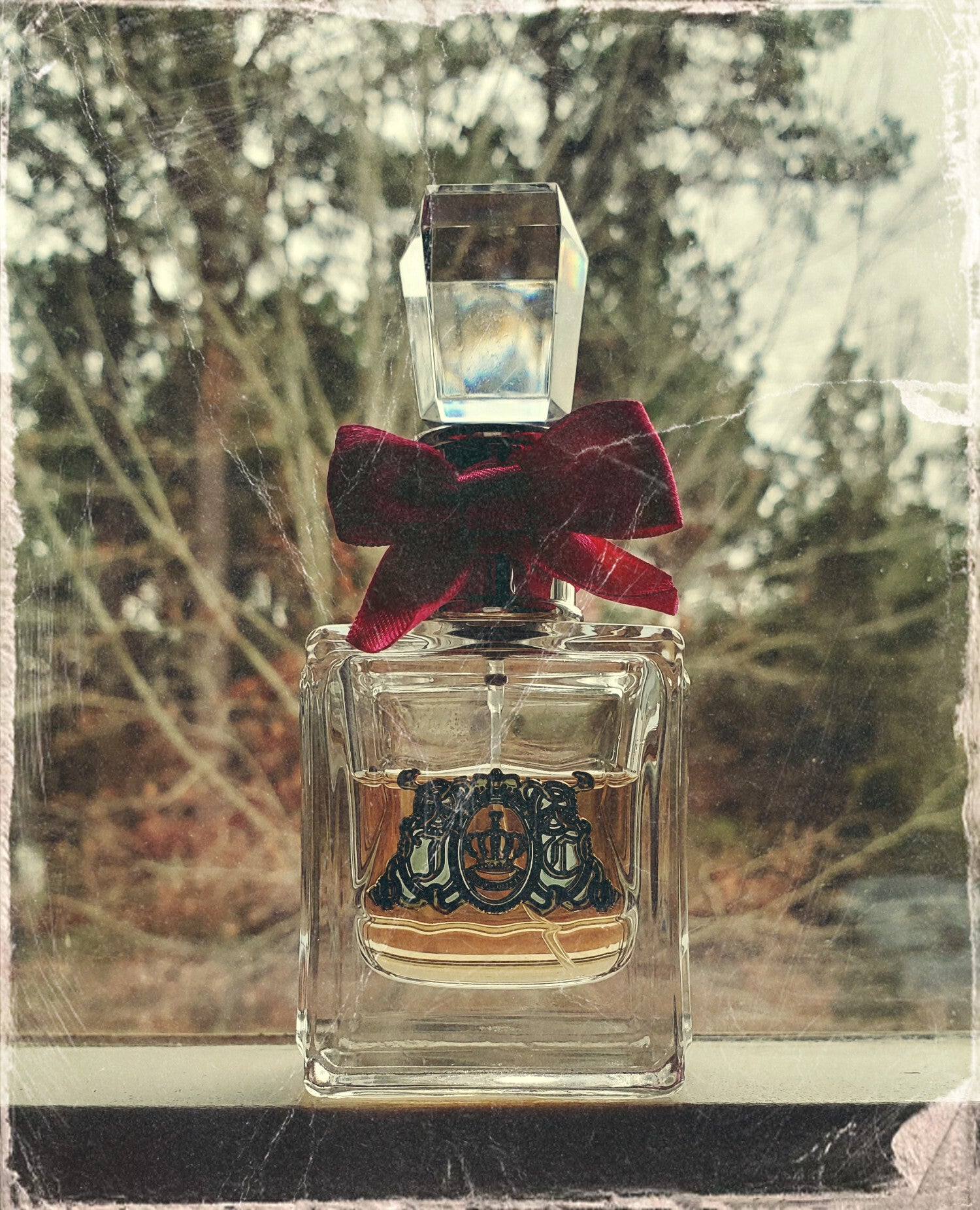 Viva la Juicy Juicy Couture