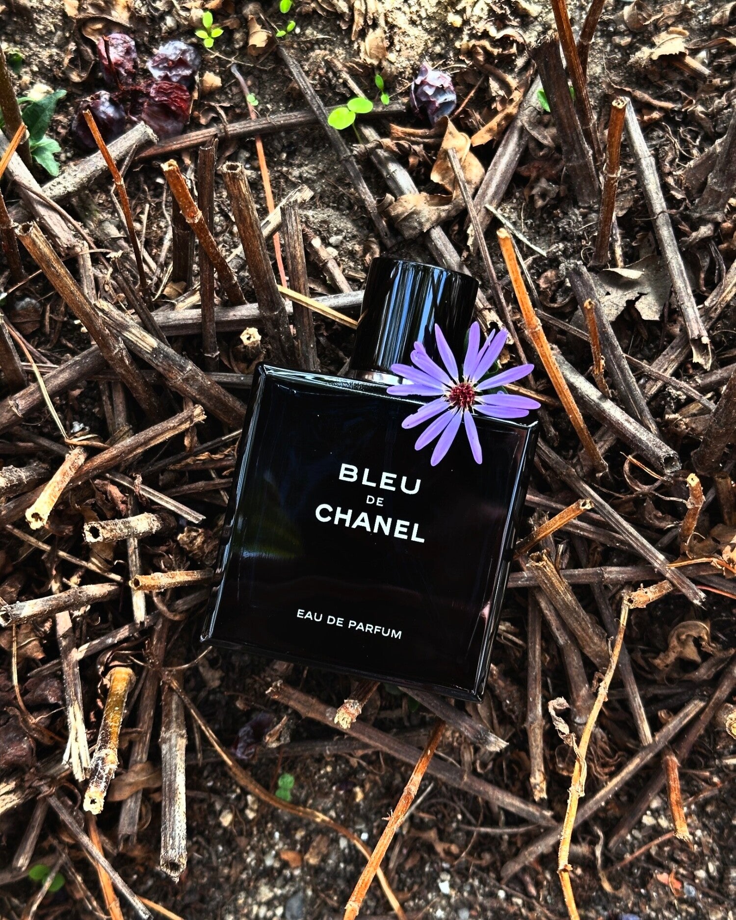 Bleu de Chanel Eau de Parfum Chanel
