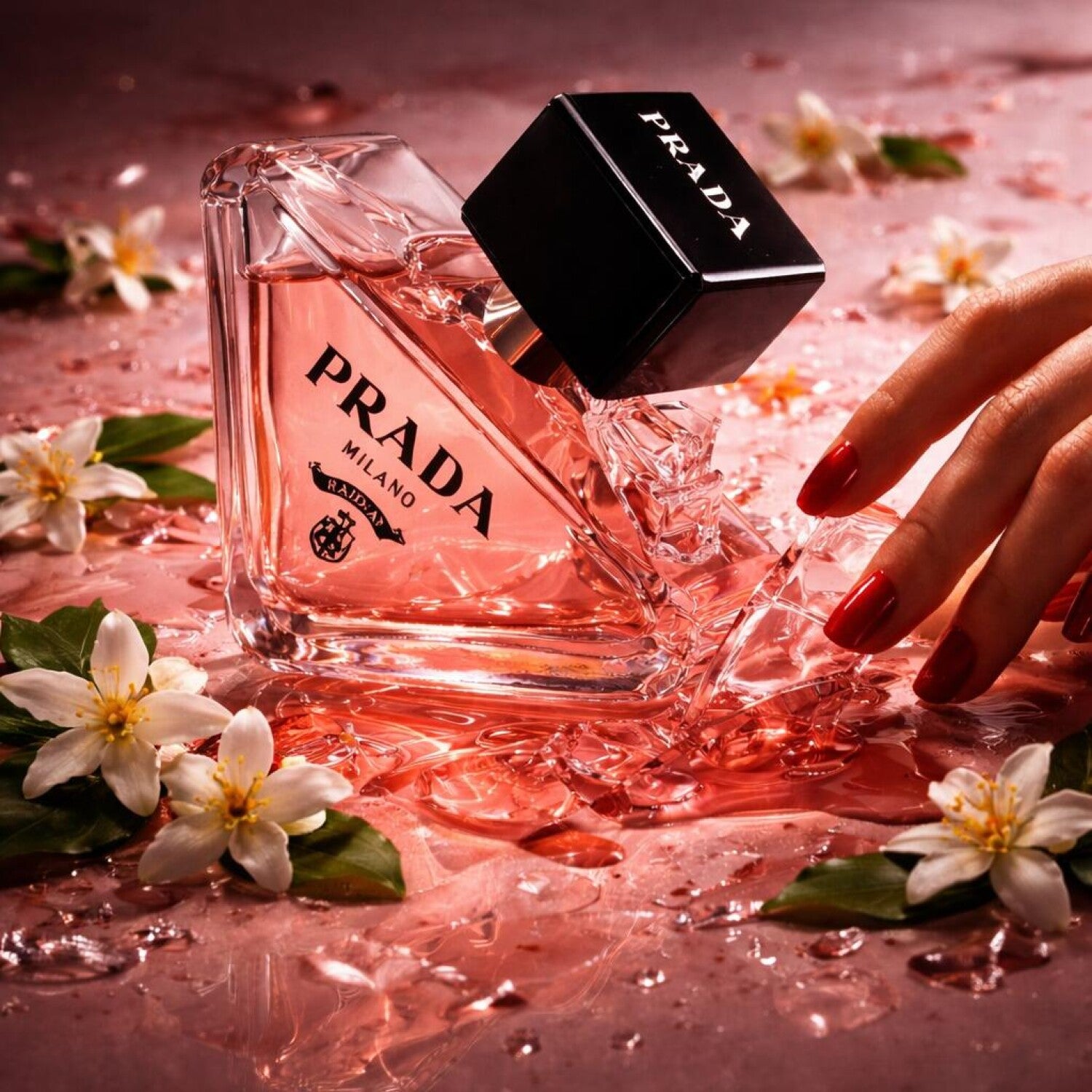 Prada Paradoxe Prada