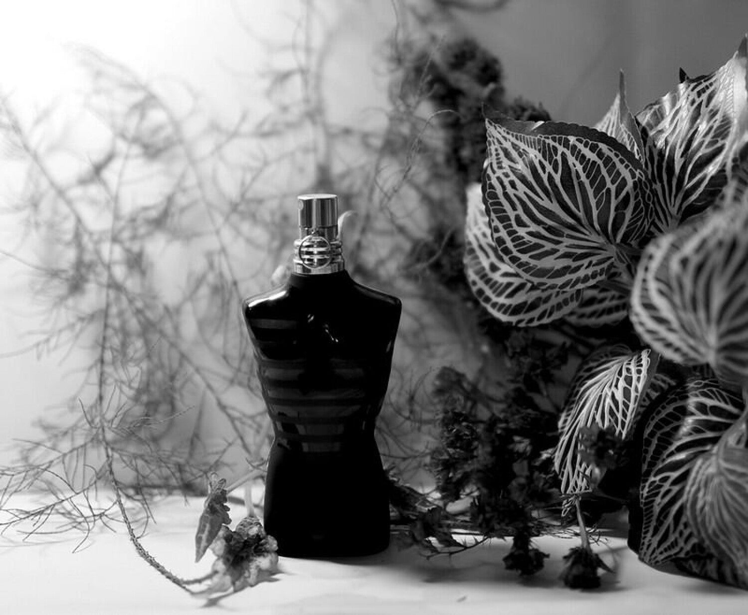 Le Male Le Parfum Jean Paul Gaultier