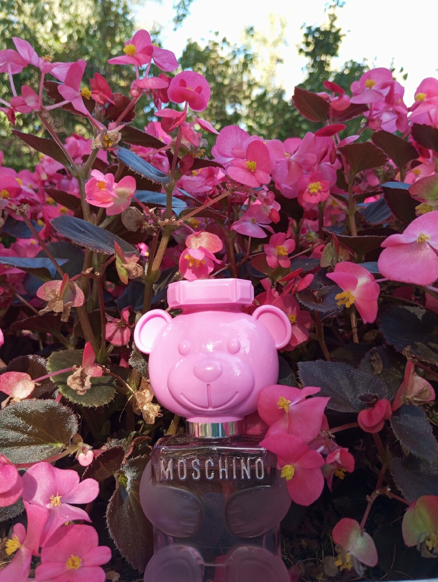 Toy 2 Bubble Gum Moschino