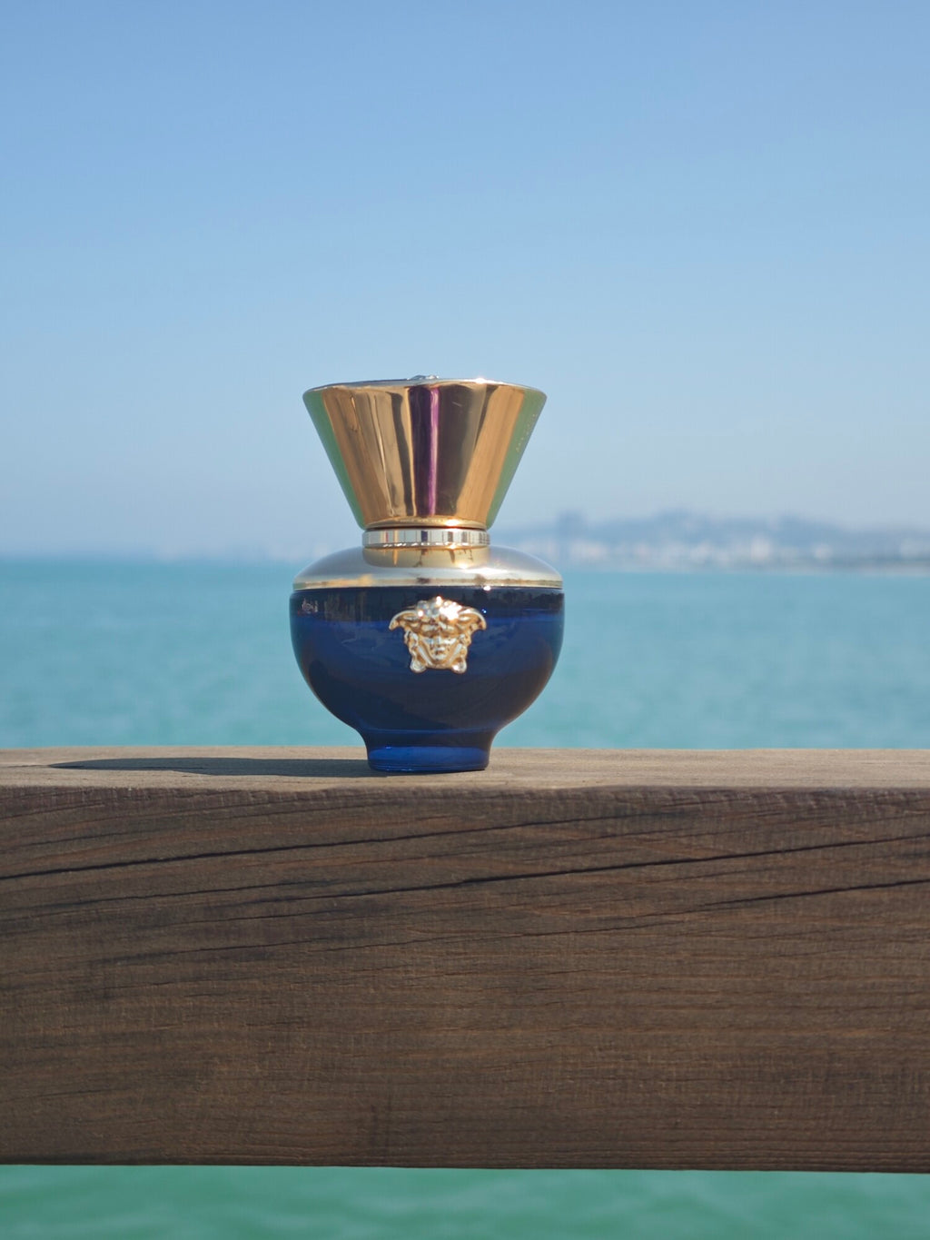 Versace Pour Femme Dylan Blue