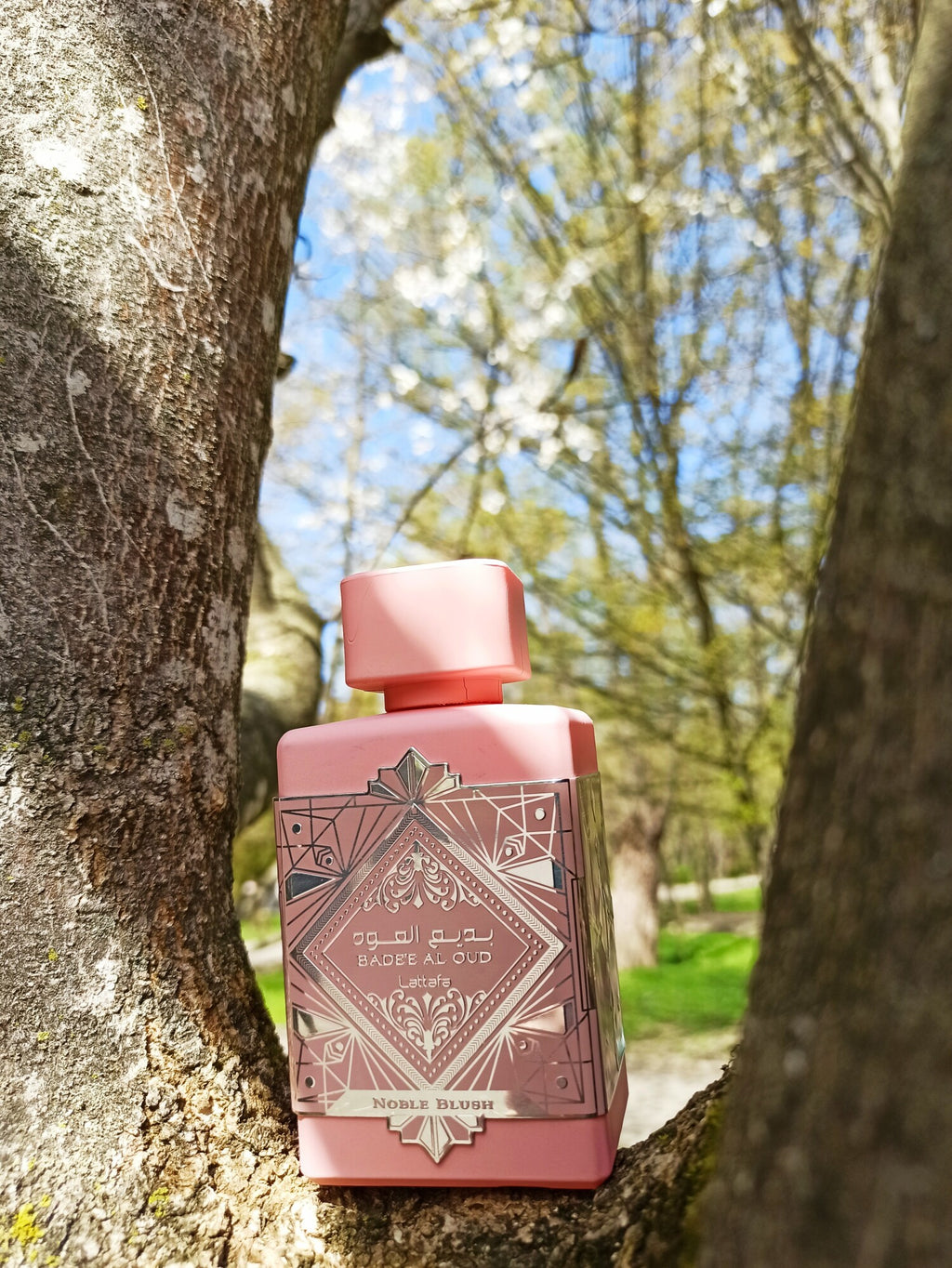 Noble Blush Lattafa Perfumes