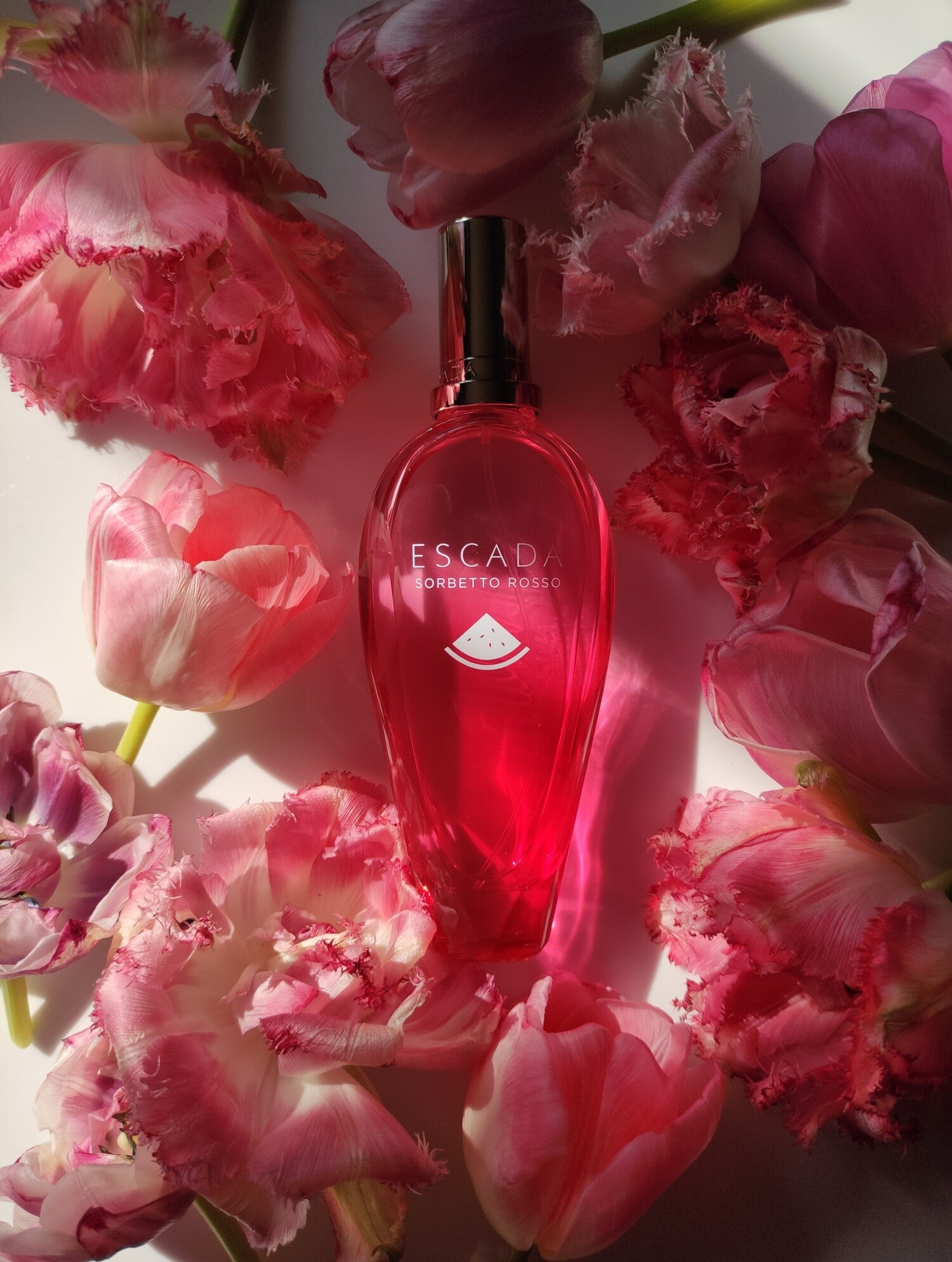 Sorbetto Rosso Escada