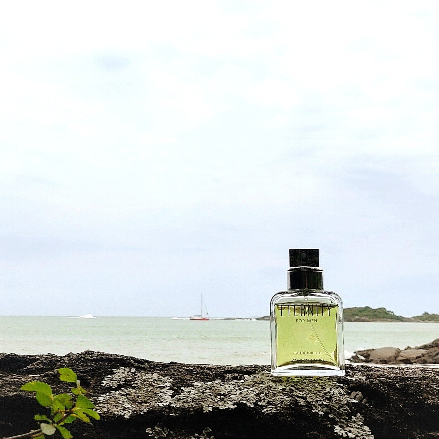 Eternity For Men Calvin Klein