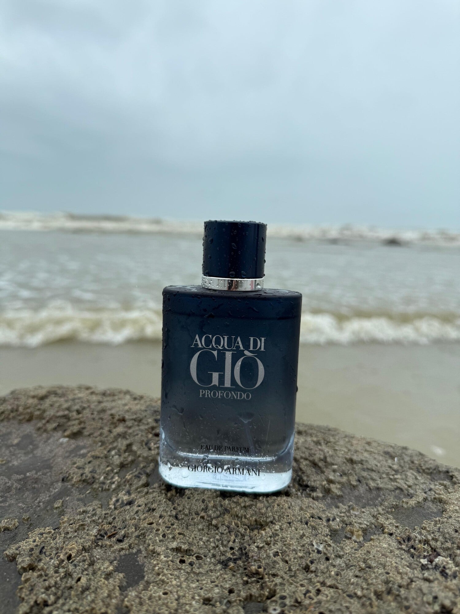 Acqua di Giò Profondo Eau de Parfum (2024) Giorgio Armani