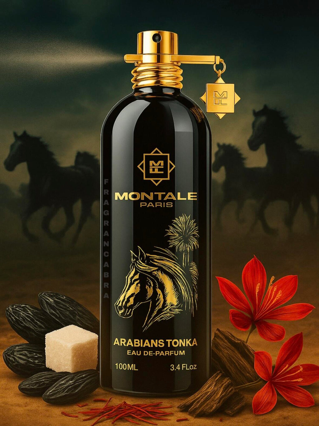 Arabians Tonka Montale