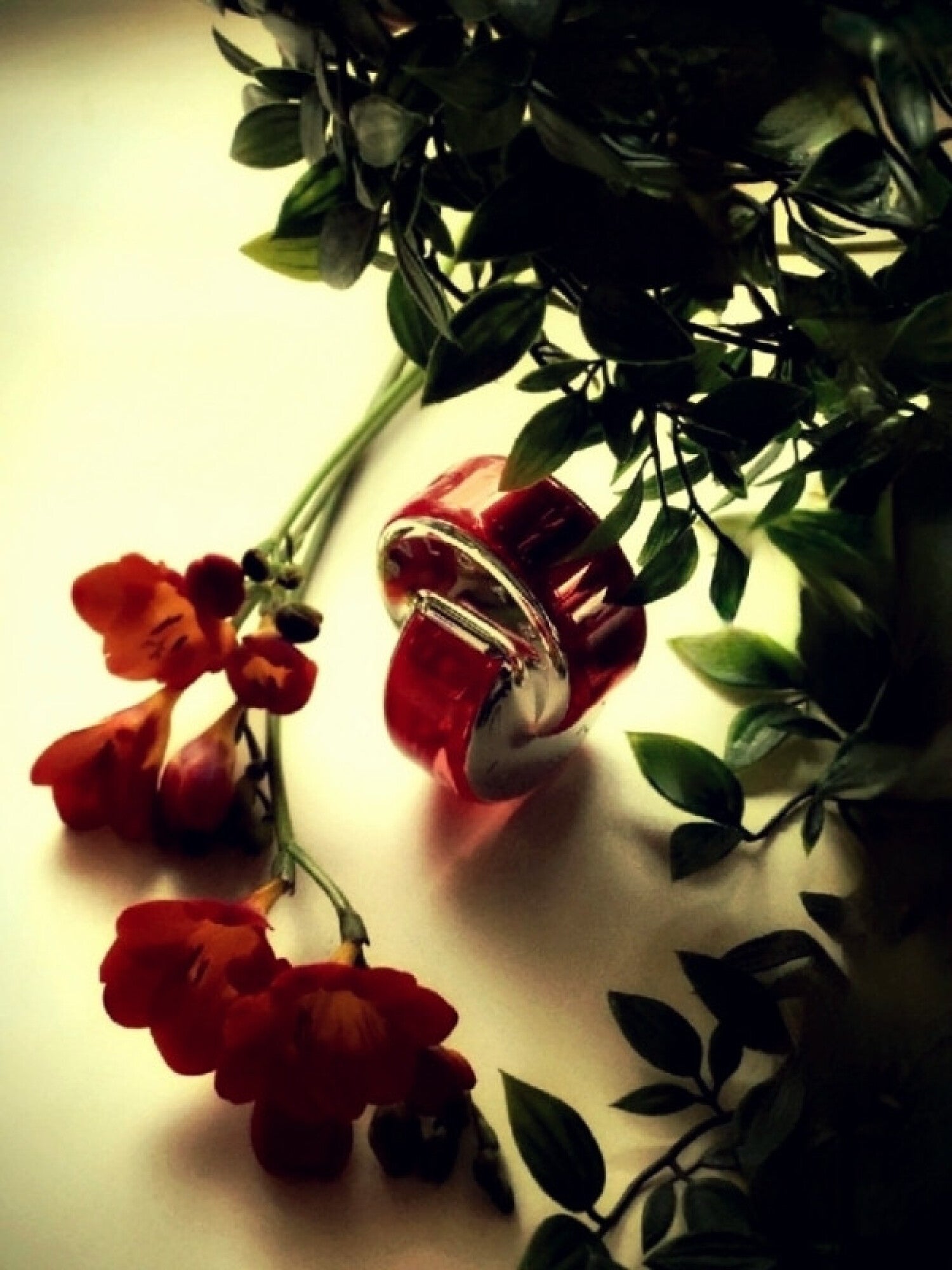 Omnia Coral Bvlgari