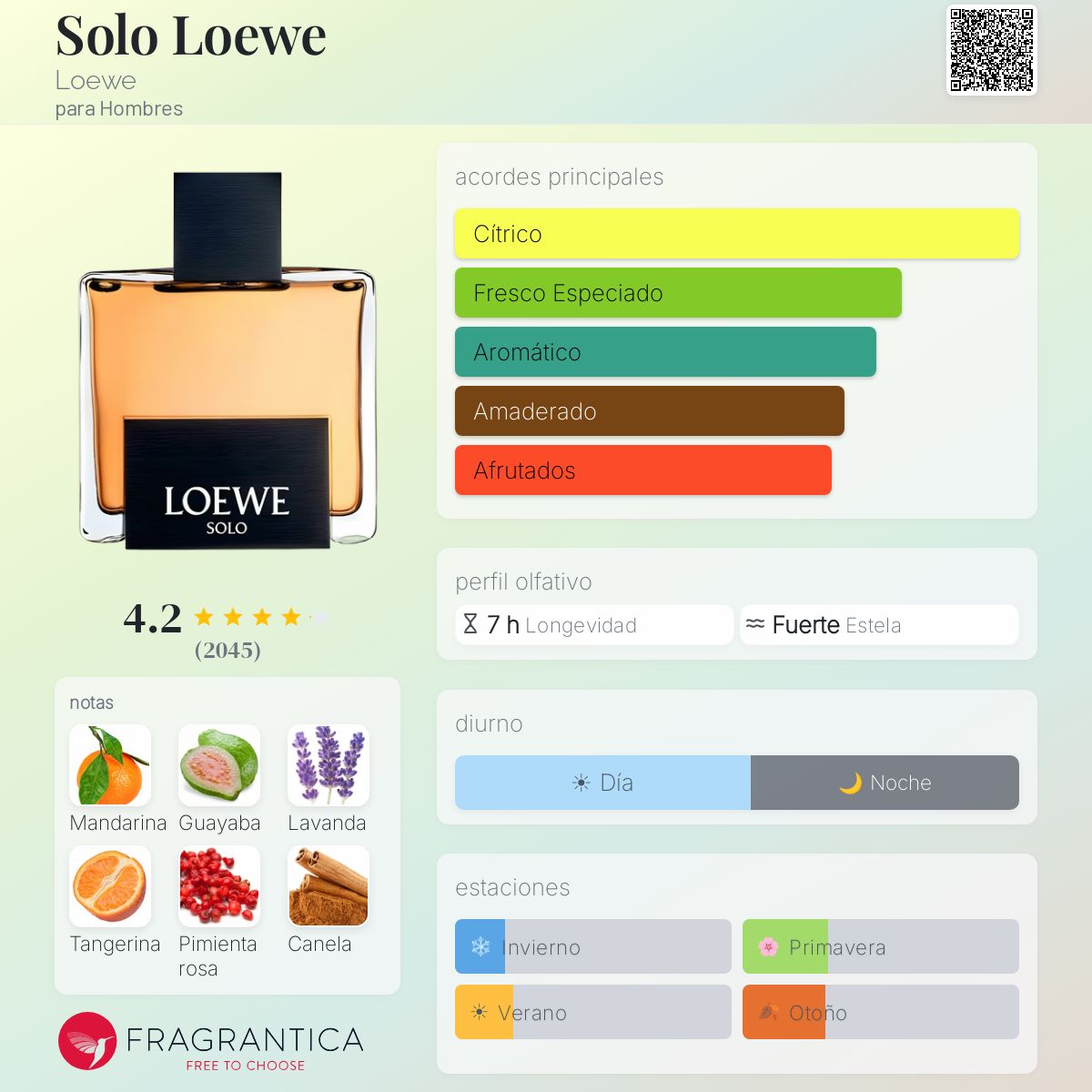 Solo Loewe Loewe