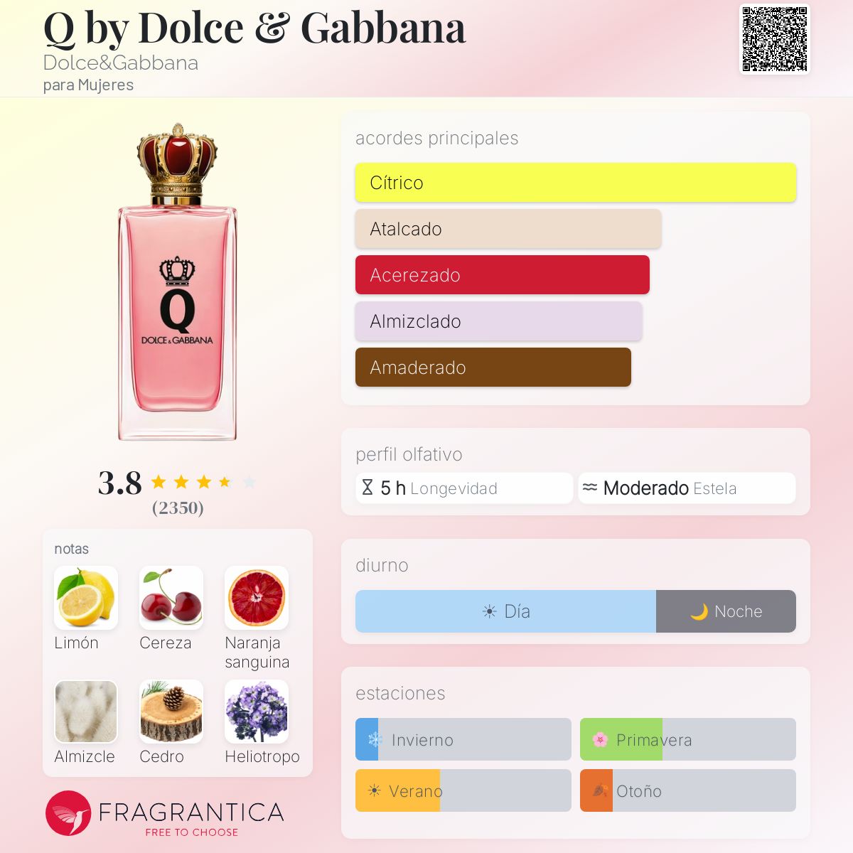 Q by Dolce & Gabbana Dolce&Gabbana