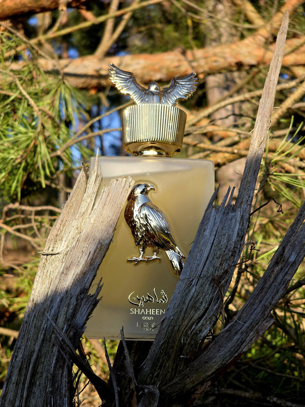 Shaheen Gold Lattafa Perfumes