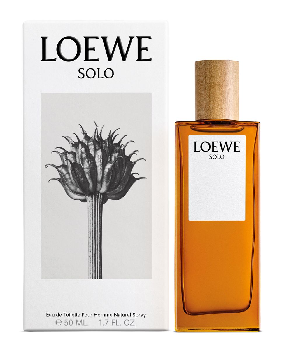 Solo Loewe Loewe