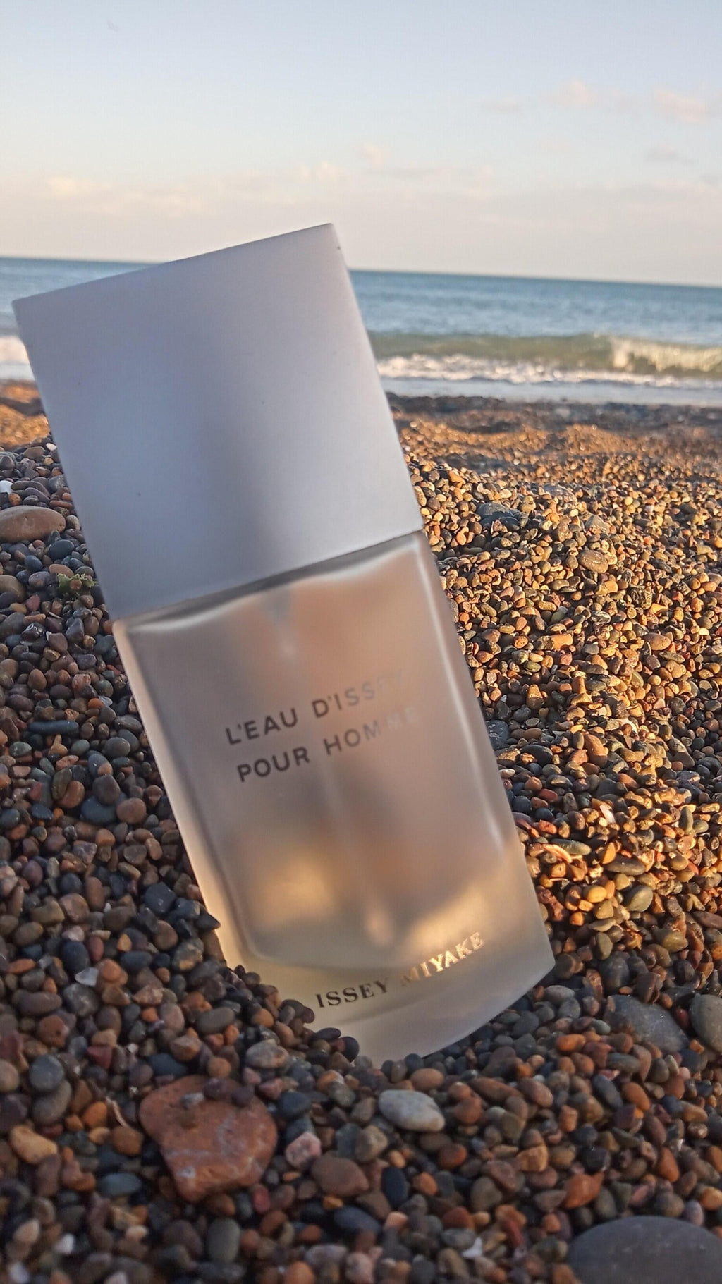 L'Eau d'Issey Pour Homme Issey Miyake
