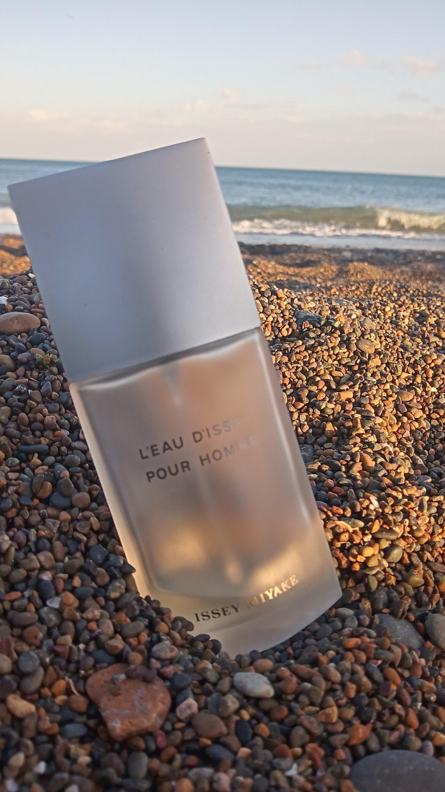L'Eau d'Issey Pour Homme Issey Miyake