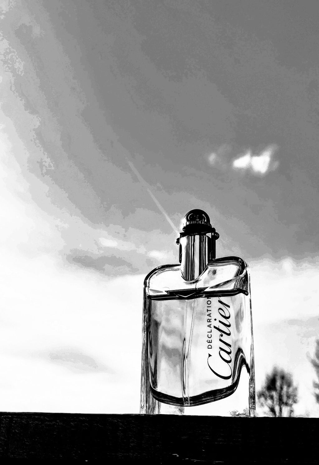 Declaration Cartier