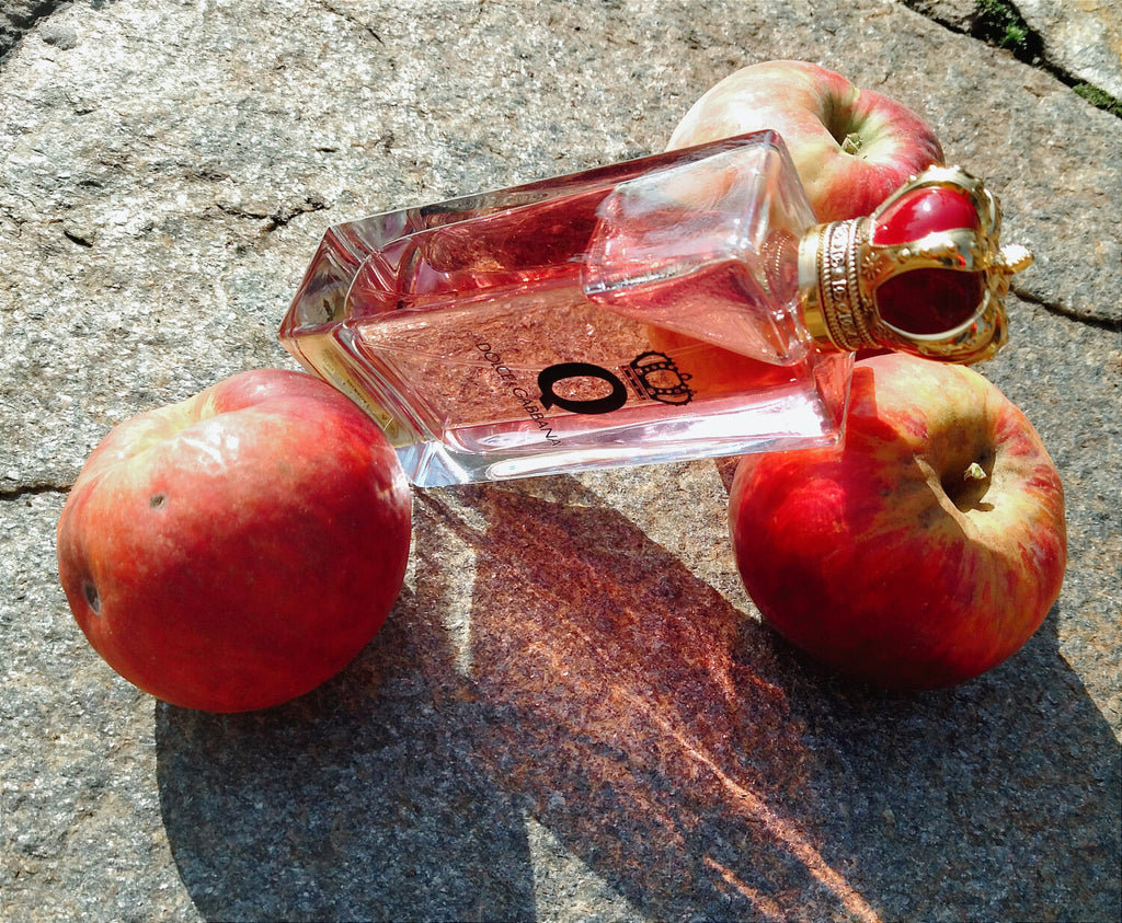 Q by Dolce & Gabbana Dolce&Gabbana