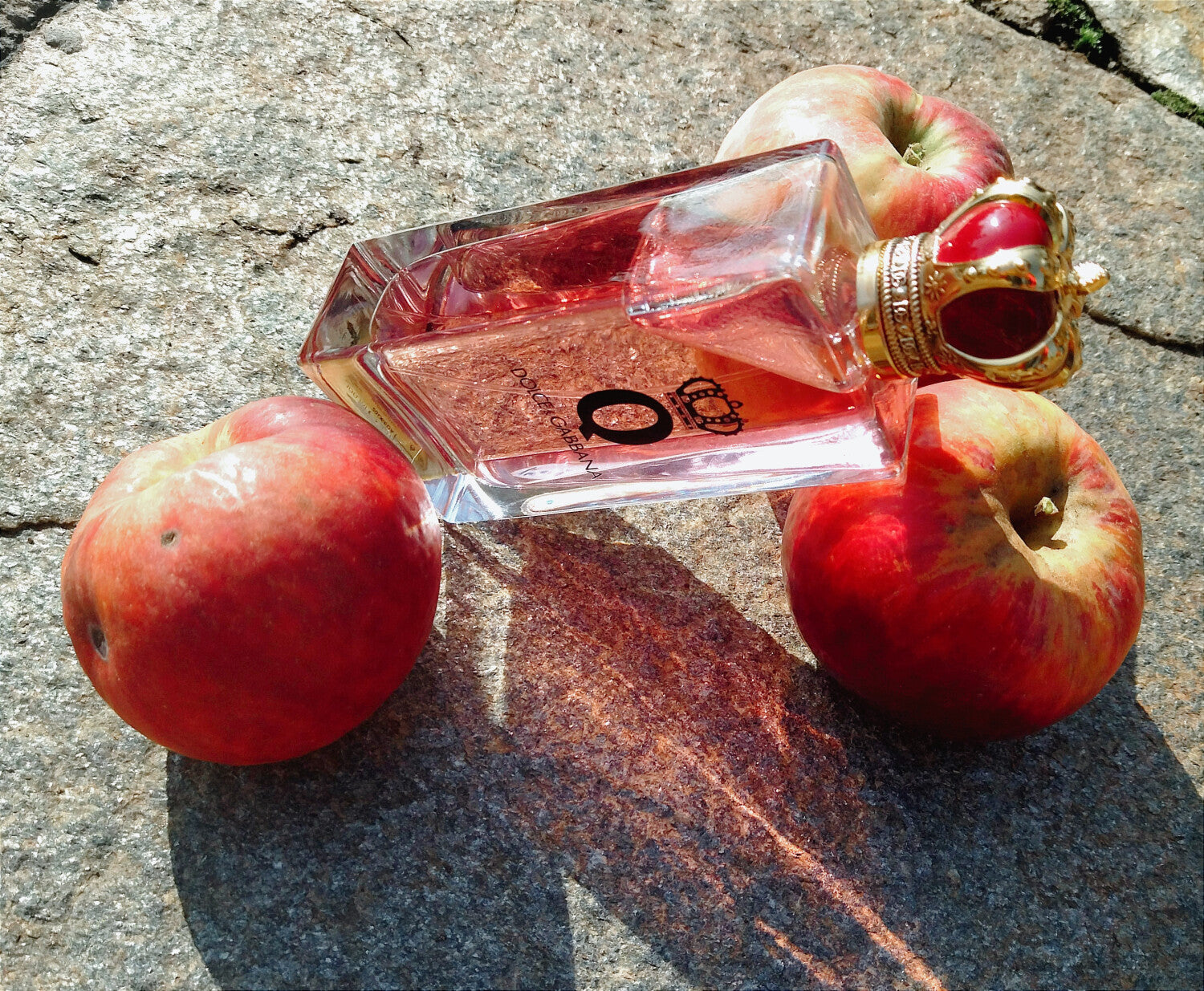 Q by Dolce & Gabbana Dolce&Gabbana