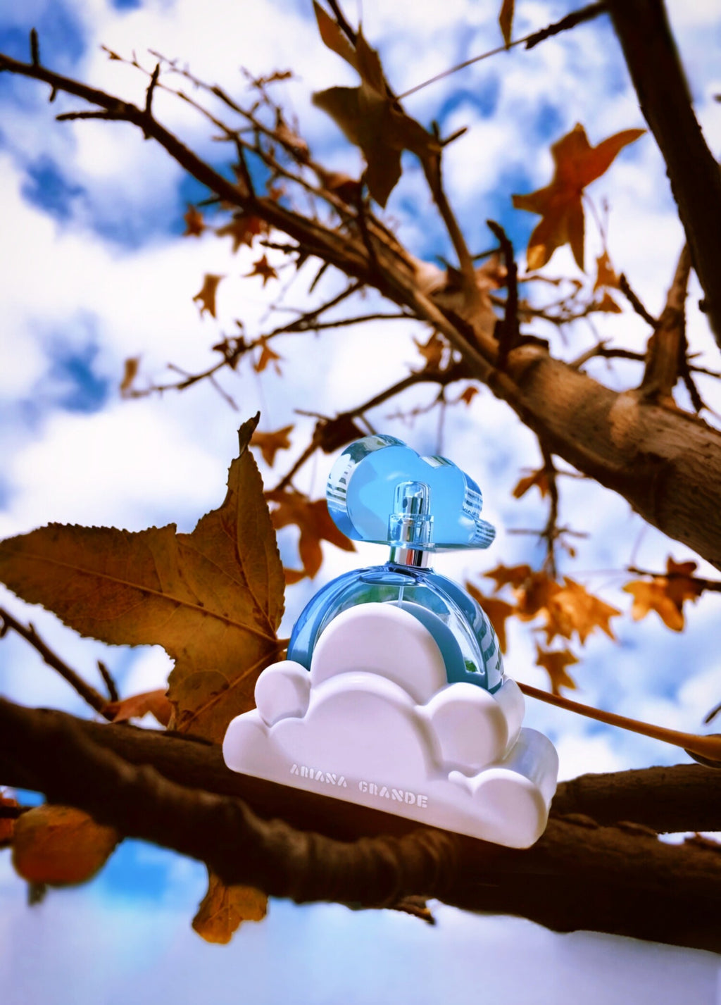 Cloud Ariana Grande