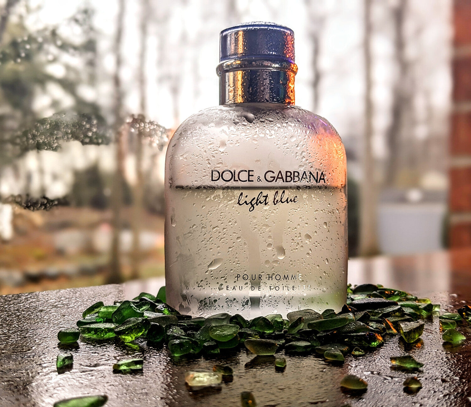 Light Blue pour Homme Dolce&Gabbana